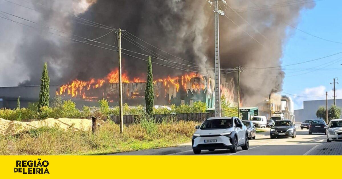 Massive Fire Engulfs Wood Factory in Colmeias: Over 60 Firefighters Respond