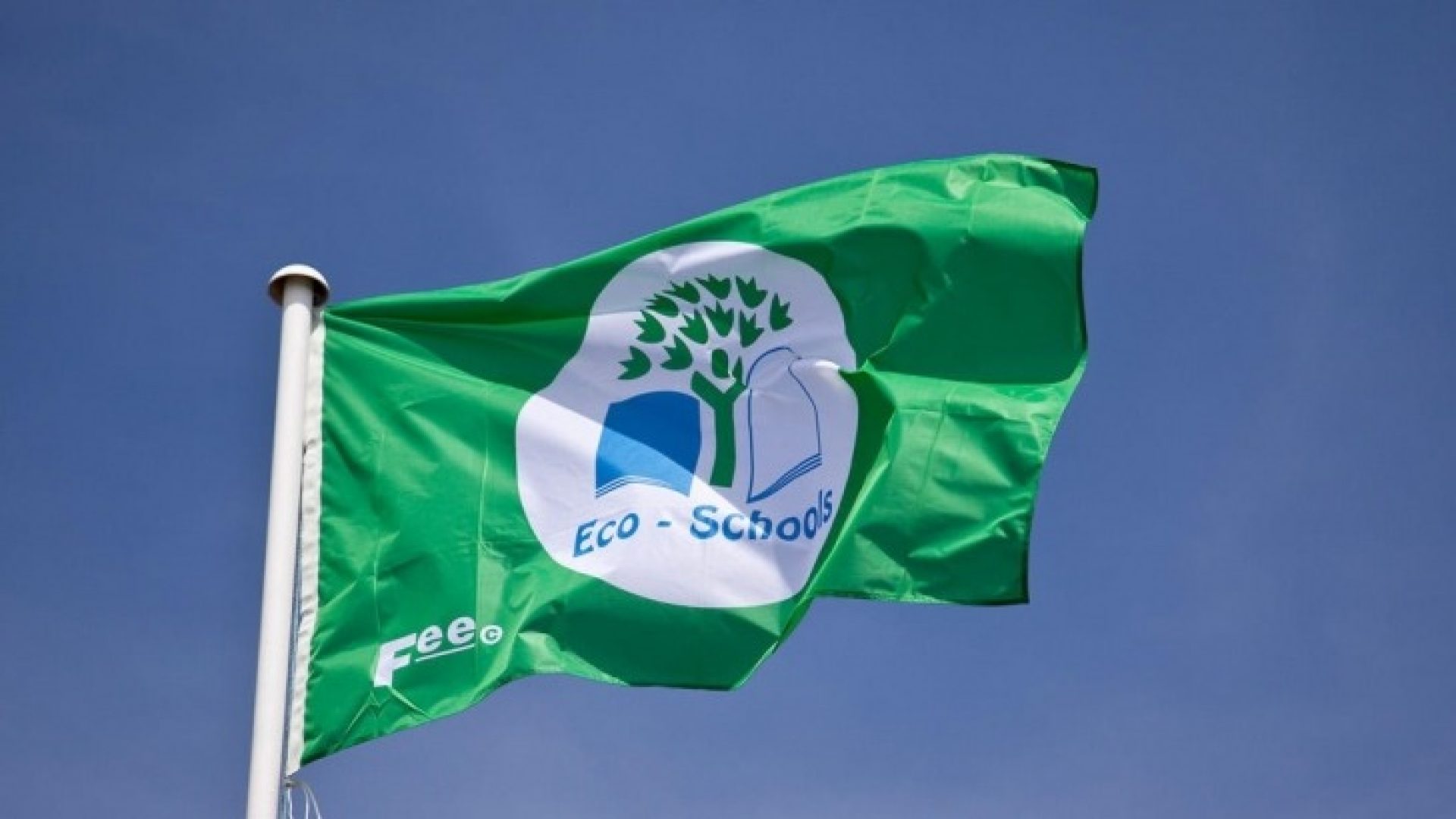 Экошкола зеленый флаг