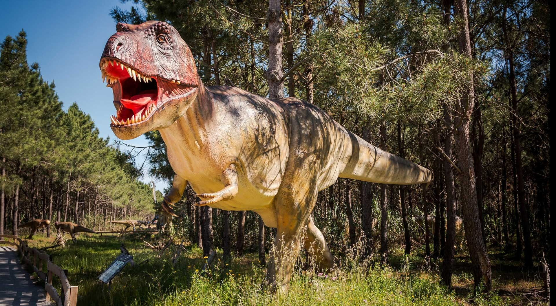 Parque dos Dinossauros - Morphle em Português